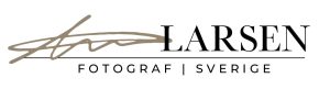 AlinaLarsen_Logga_web
